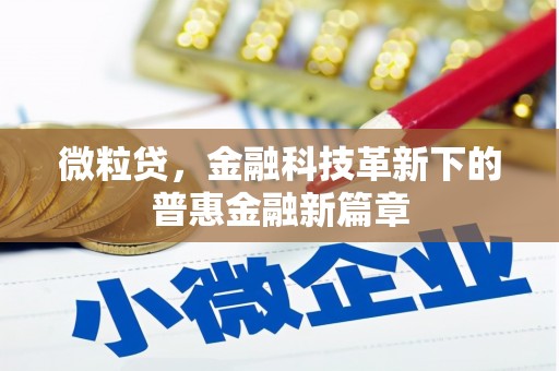 海勃湾微粒贷，金融科技革新下的普惠金融新篇章
