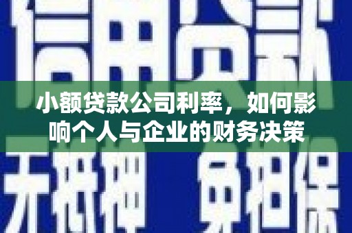 海勃湾小额贷款公司利率，如何影响个人与企业的财务决策