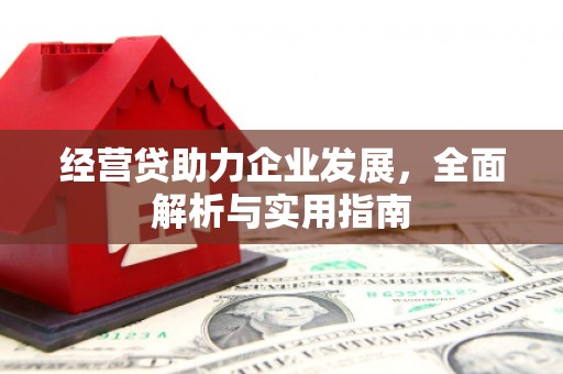 海勃湾经营贷助力企业发展，全面解析与实用指南