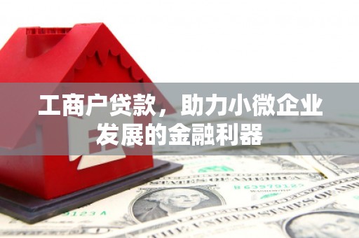 海勃湾工商户贷款，助力小微企业发展的金融利器