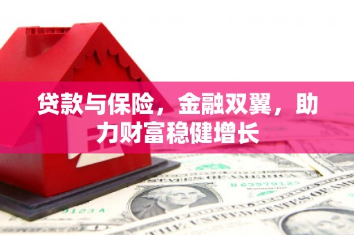 海勃湾贷款与保险，金融双翼，助力财富稳健增长