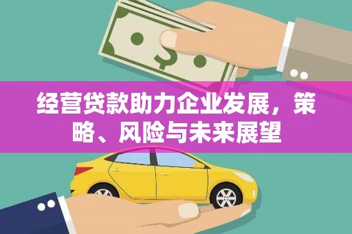 海勃湾经营贷款助力企业发展，策略、风险与未来展望