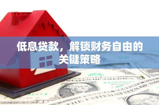 海勃湾低息贷款，解锁财务自由的关键策略
