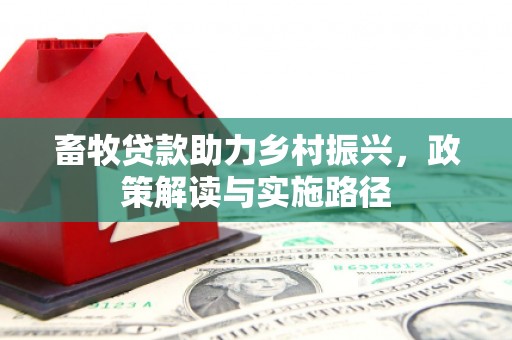 海勃湾畜牧贷款助力乡村振兴，政策解读与实施路径