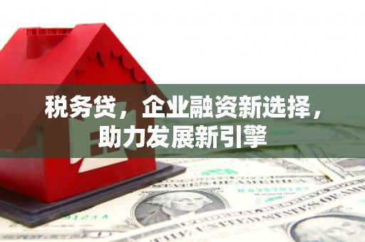 海勃湾税务贷，企业融资新选择，助力发展新引擎