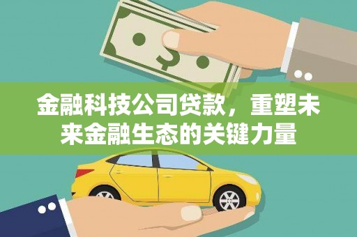 海勃湾金融科技公司贷款，重塑未来金融生态的关键力量