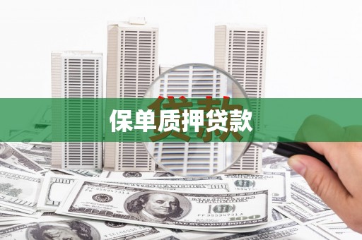 海勃湾保单质押贷款