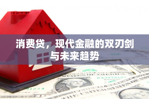 海勃湾消费贷，现代金融的双刃剑与未来趋势