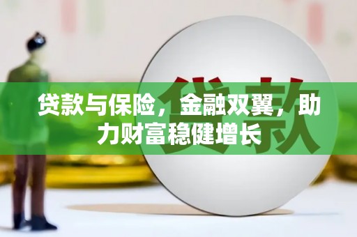 海勃湾贷款与保险，金融双翼，助力财富稳健增长