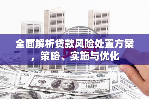 海勃湾全面解析贷款风险处置方案，策略、实施与优化