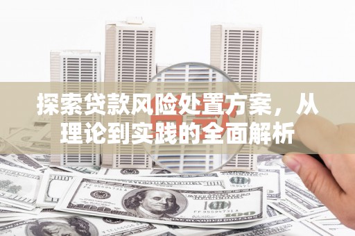 海勃湾探索贷款风险处置方案，从理论到实践的全面解析