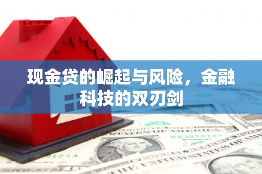 海勃湾现金贷的崛起与风险，金融科技的双刃剑
