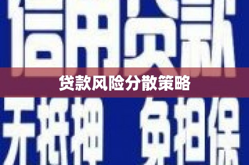 海勃湾贷款风险分散策略