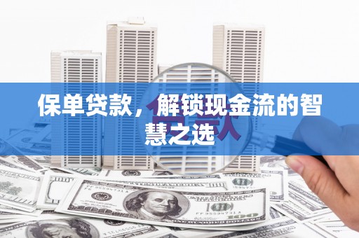 海勃湾保单贷款，解锁现金流的智慧之选