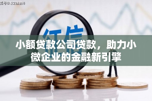 海勃湾小额贷款公司贷款，助力小微企业的金融新引擎