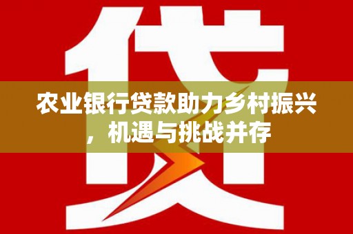 海勃湾农业银行贷款助力乡村振兴，机遇与挑战并存
