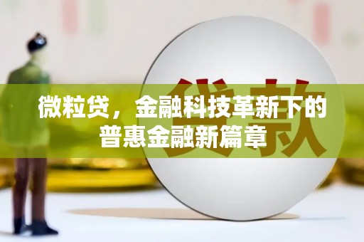 海勃湾微粒贷，金融科技革新下的普惠金融新篇章