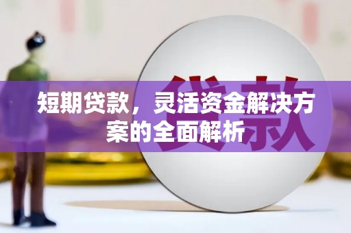 海勃湾短期贷款，灵活资金解决方案的全面解析