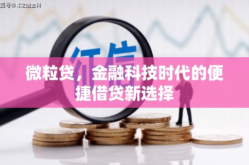 海勃湾微粒贷，金融科技时代的便捷借贷新选择