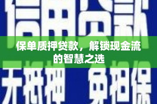海勃湾保单质押贷款，解锁现金流的智慧之选