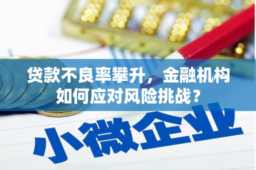 海勃湾贷款不良率攀升，金融机构如何应对风险挑战？