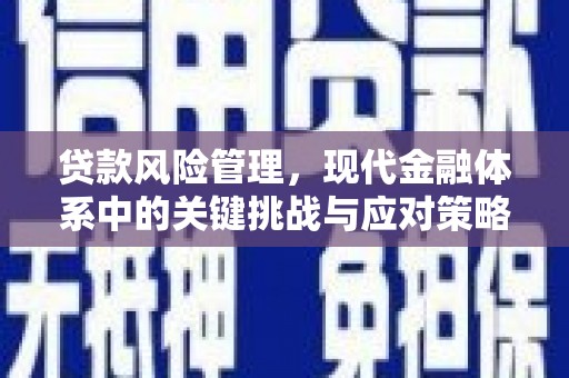 海勃湾贷款风险管理，现代金融体系中的关键挑战与应对策略