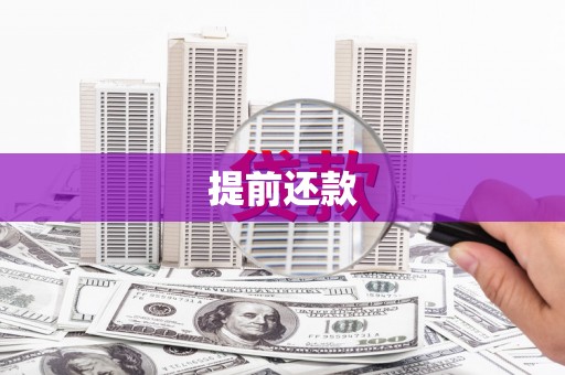 海勃湾提前还款
