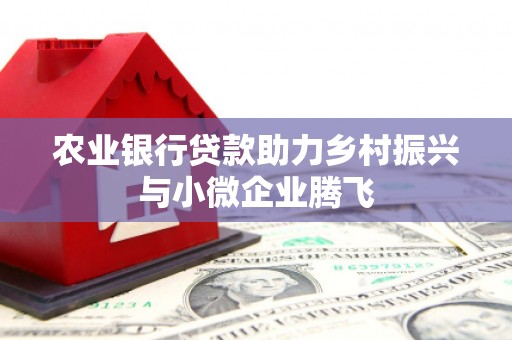 海勃湾农业银行贷款助力乡村振兴与小微企业腾飞