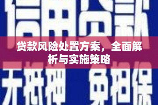 海勃湾贷款风险处置方案，全面解析与实施策略